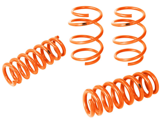 Control Lowering Springs BMW 1/2/3/4-Series F20/21/22/23/30/31/32 12-20