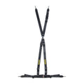 Schroth Racing Rallye 4 ASM Harness