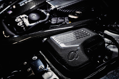AMS Performance Carbon Fiber Intake BMW M3/M4 F80/F82/F83 S55