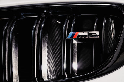 AMS Performance Carbon Fiber Intake BMW M3/M4 F80/F82/F83 S55