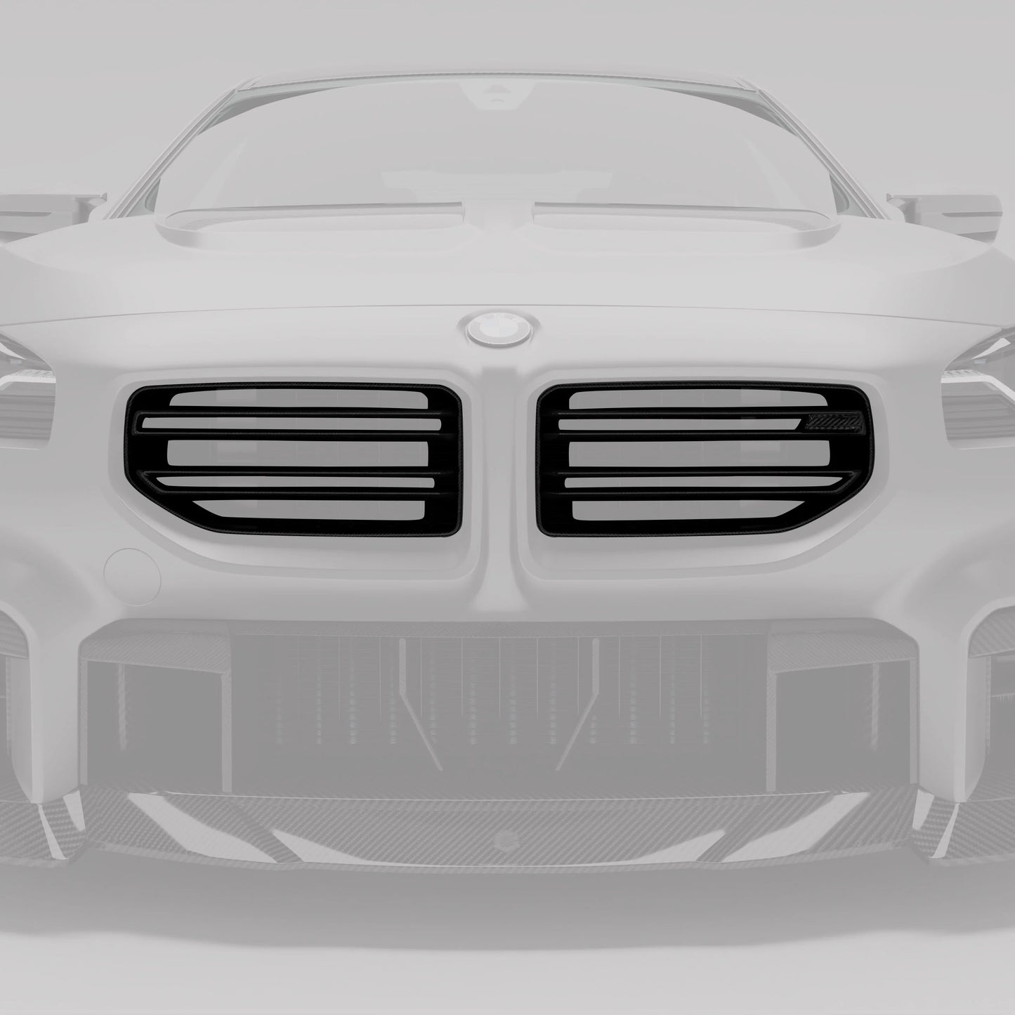 Revozport Carbon Fiber Front Grille BMW G87 M2 S58