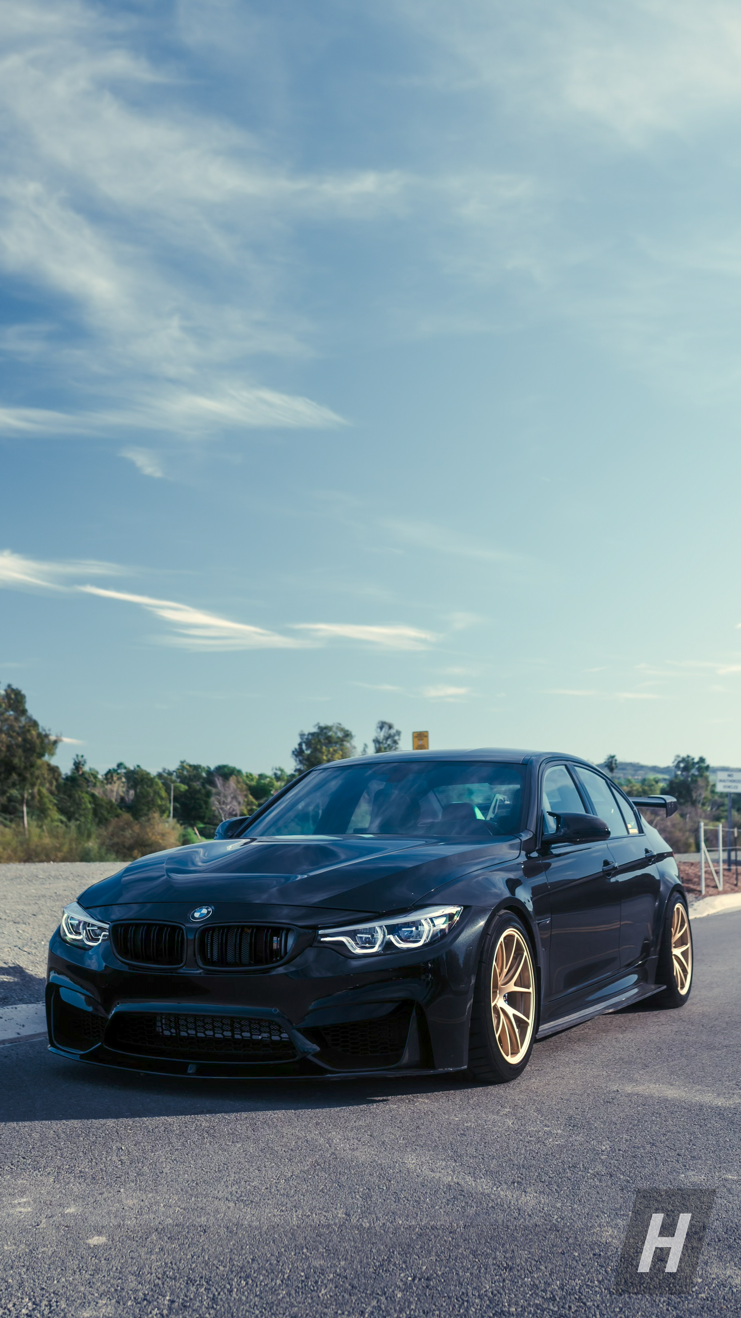 Horizon Motorsport PSM Style Carbon Fiber Side Skirts BMW F80 M3