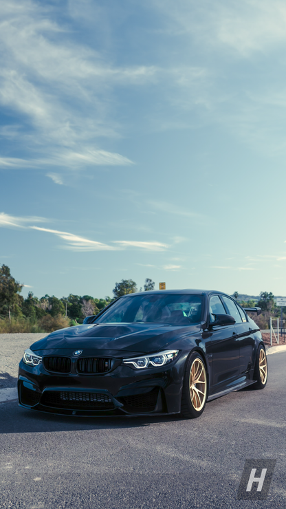 Horizon Motorsport PSM Style Carbon Fiber Side Skirts BMW F80 M3