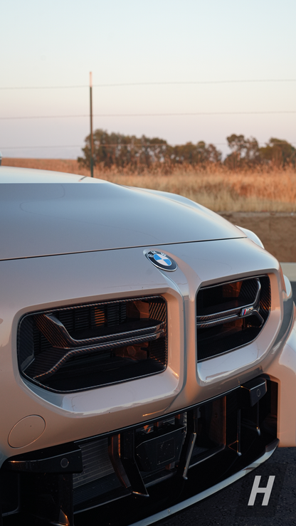 Horizon Motorsport CSL V1 Dry Carbon Fiber Front Grill - G87 M2