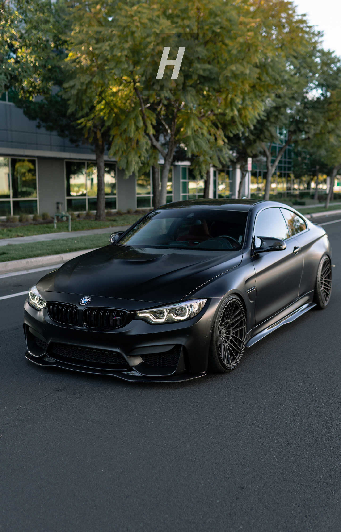 Horizon Motorsport PSM Style Carbon Fiber Side Skirts BMW F82 / F83 M4