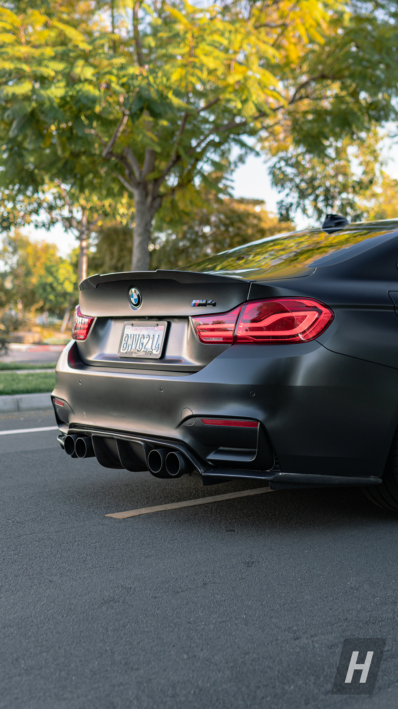 Horizon Motorsport Performance V1 Carbon Fiber Trunk Lip / Spoiler BMW F82 M4