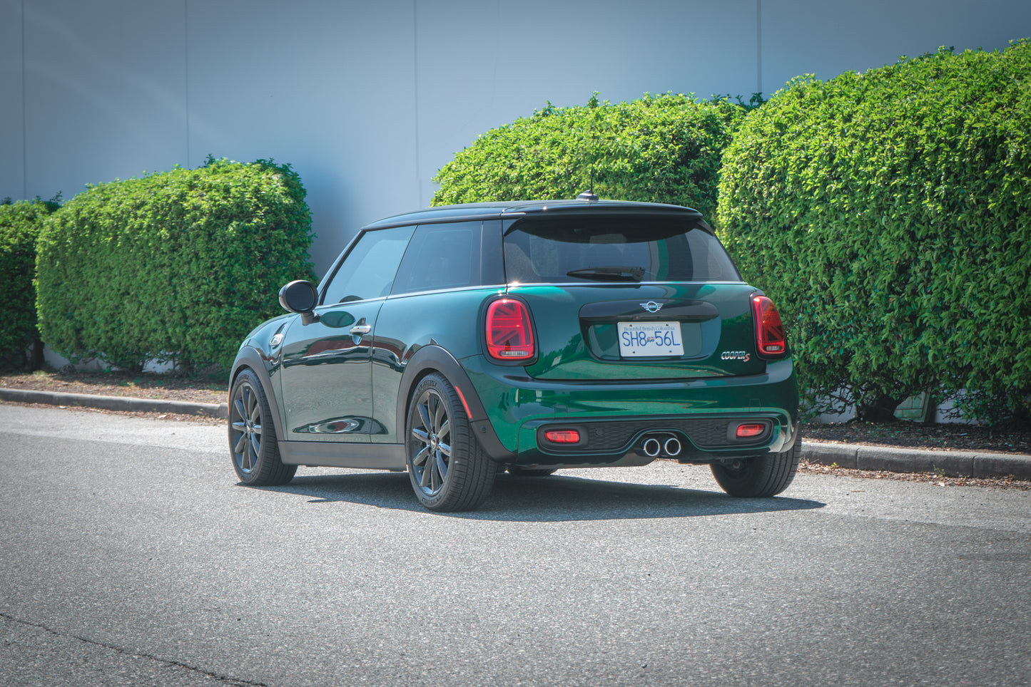 CTS Turbo Lowering Springs F55/F56 MINI Cooper/Cooper S/JCW