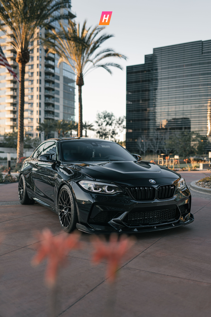 Horizon Motorsport 3D Style Carbon Fiber Front Lip BMW F87 M2C
