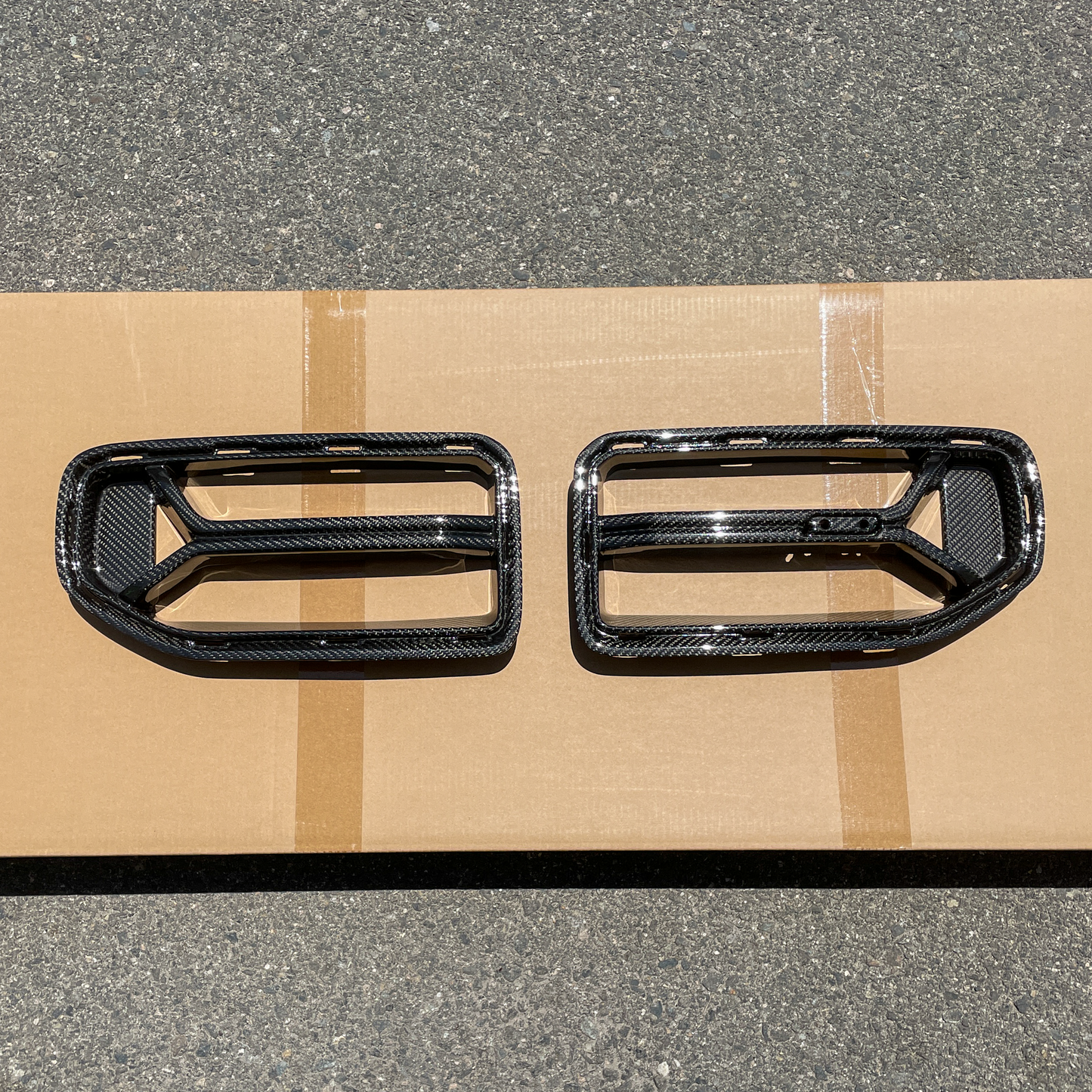 Horizon Motorsport CSL V1 Dry Carbon Fiber Front Grill - G87 M2