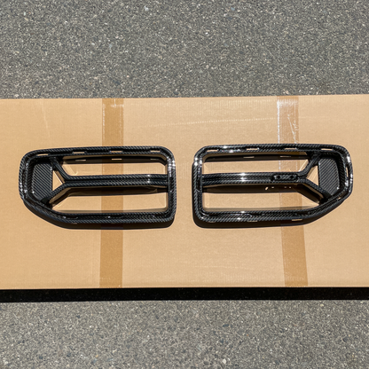 Horizon Motorsport CSL V1 Dry Carbon Fiber Front Grill - G87 M2