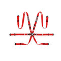 Sparco Comp H-2 Endurance Racing Harness - FIA 8853