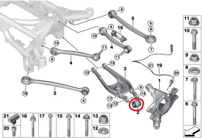 SPL Rear Lower Control Arm Knuckle Bushing BMW M2|M3|M4 E9X/F2X/F3X/F8X/E8X/G8X